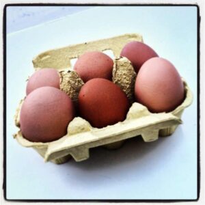 Responsibility rising: From eggs to concrete, animal welfare to worker wellbeing and consumer to C-Suite.
