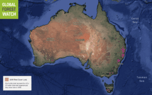Map of Tree Cover Loss Australia 2019