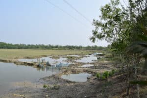 Site of proposed sustainable desalination project in the Sundarbans, West Bengal