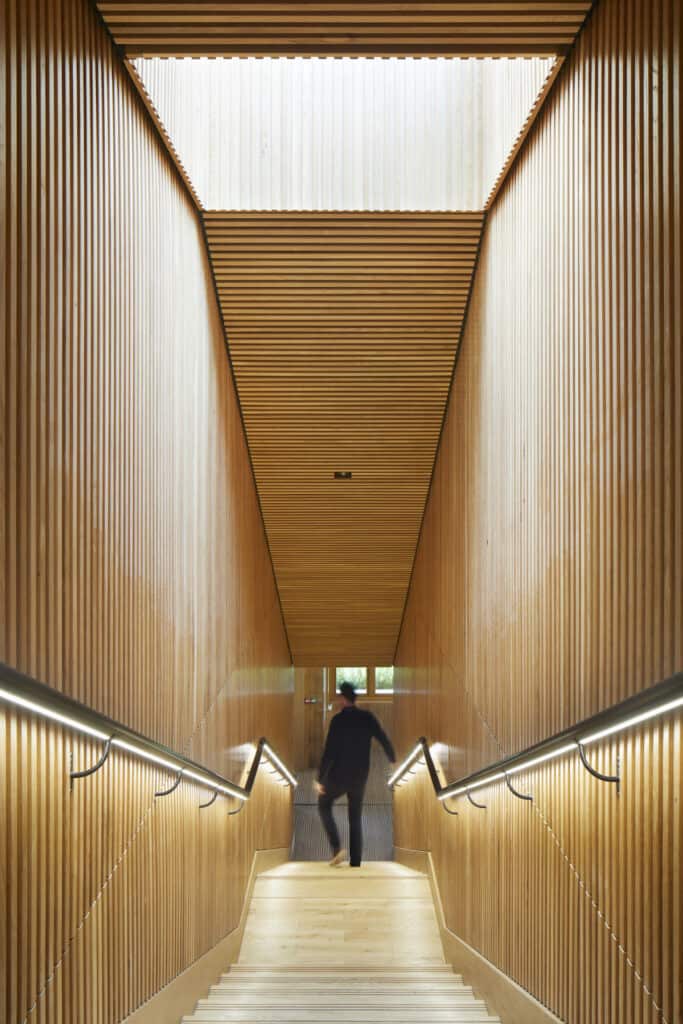 Timber-lined staircase — both walls and ceiling