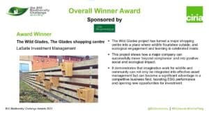 Slide announcing Overall Winner Award presented to The Wild Glades project.