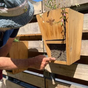 Image of bee hotel at the Wild Glades.